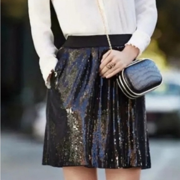 Ann Taylor Dresses & Skirts - Ann Taylor Size 10 Black Sequin Skirt with 2 pockets and Lined!  NWT